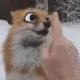 Boop