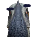 suchosucho