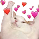 catlove