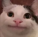 :chatbizarre: chatbizarre