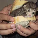 sadsandwich