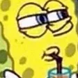 spongeSip