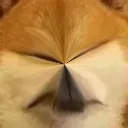 nhob