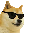 DogeSwag