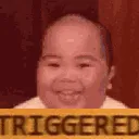 jan_triggered jan_triggered