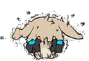 BunCute