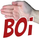 boi