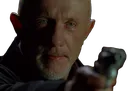 mikegun
