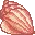 QueenConchShell QueenConchShell
