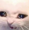 AAAAAAAAAAAAAA