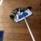 CE_SweepingCattos
