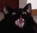 humgry