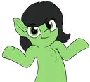 shrug_filly