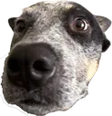 ApolloHello ApolloHello