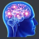 BigBrain