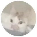 emoji_15