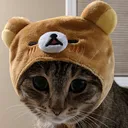 willabear
