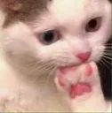 Hiss_confused