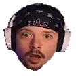 tipicaTeddyShock