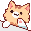 :kittybongo: