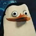 bruh_penguin