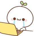 CCcry