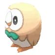 RowletSpin