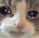 sadRaind
