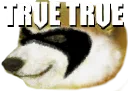 trvetrve