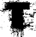 3T_