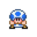 toadWave toadWave