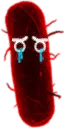 CryingBacteria