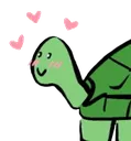 kyooturtle