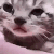 crycat_OL