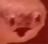Pogscree