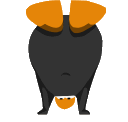 spinnyboi Discord emoji