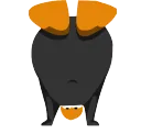 spinnyboi