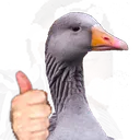 SeemsGoose