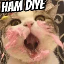 ham