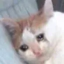 Sadvibes Discord Emoji