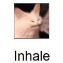 echventilate