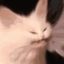 echhyperventilate