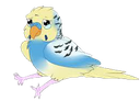 sadbirb