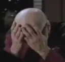 PalmFace