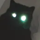 bitch