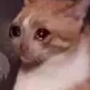 cry