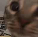 helo