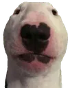 walter