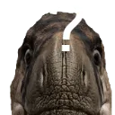 Latenwhat