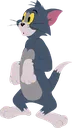 tom_1